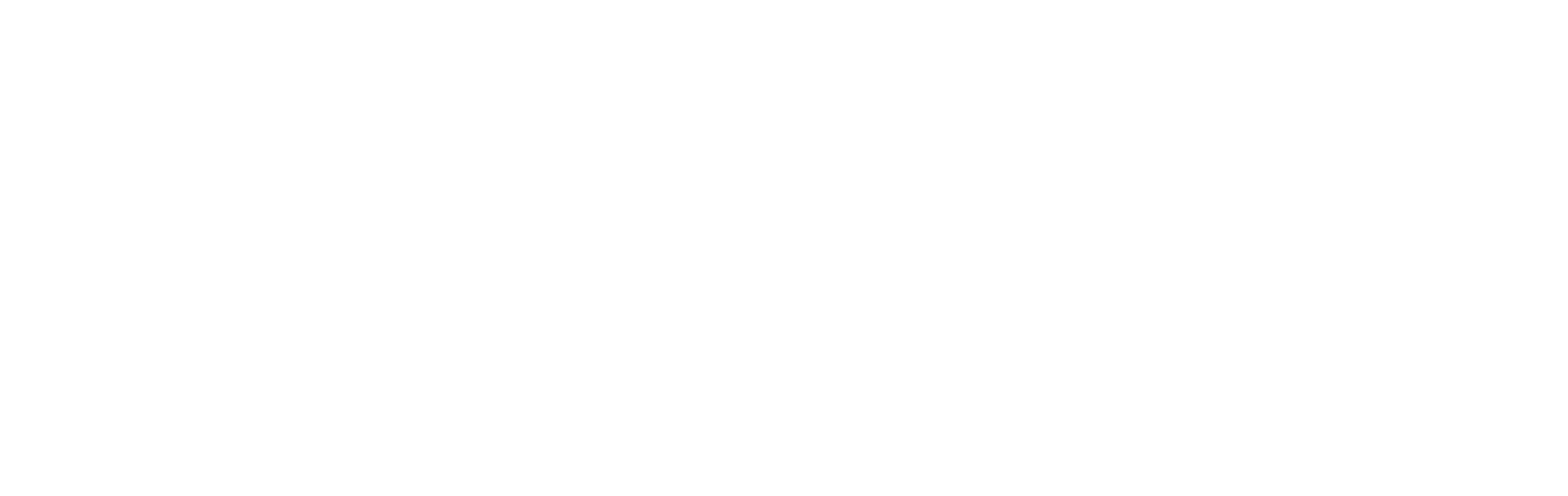 Recurso 8variante blanco 3